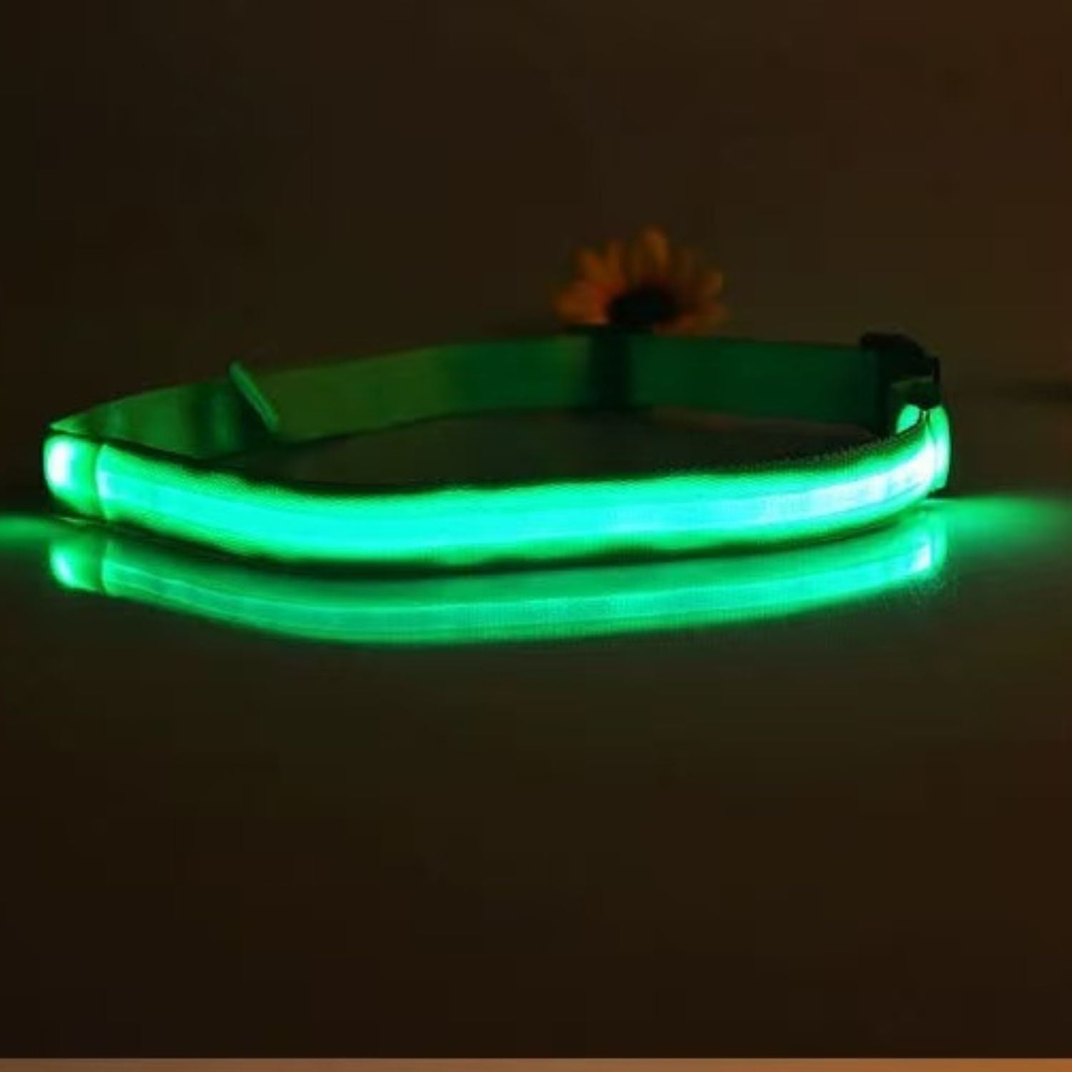 LED Night Riding Safety Belt